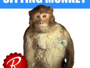 monkey Modelo 3D