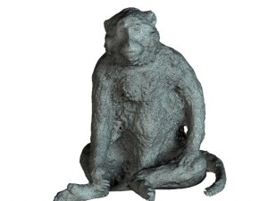 monkey 3Dモデル