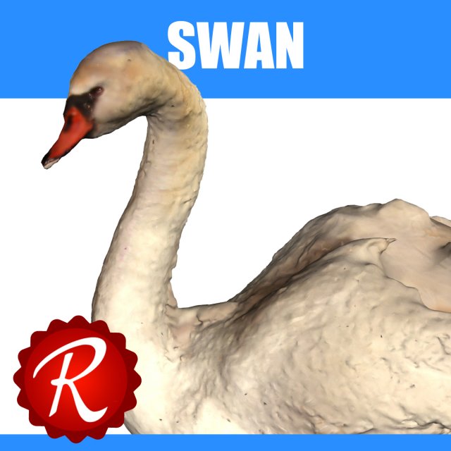 swan 3D Model .c4d .max .obj .3ds .fbx .stl .blend 