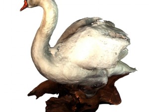 swan 3D Model
