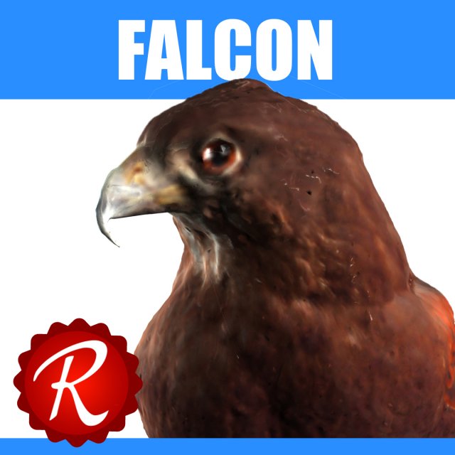 falcon 3Dモデル .c4d .max .obj .3ds .fbx .stl .blend 