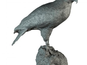 falcon 3Dモデル