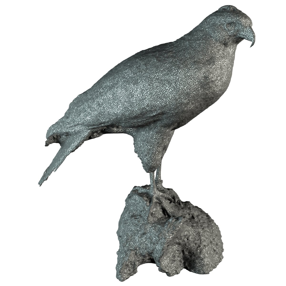 falcon 3D Model in Bird 3DExport