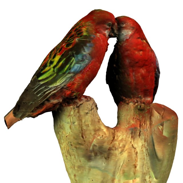 birds 3D Model .c4d .max .obj .3ds .fbx .stl .blend 