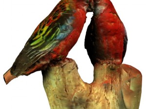 birds Modelo 3D