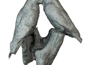 birds 3D Model