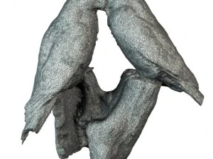 uccelli Modello 3D