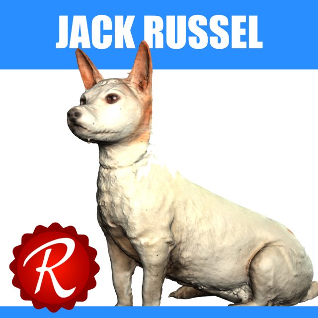 jack russel Model 3D .c4d .max .obj .3ds .fbx .stl .blend 