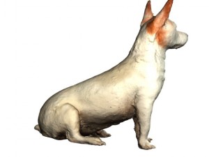 jack russel Model 3D