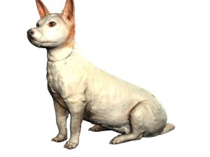 jack russel Model 3D