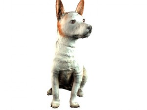 jack russel Model 3D