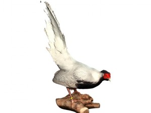 silver pheasants 3D 模型