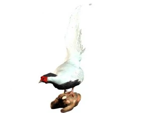 silver pheasants 3D Model