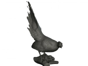 silver pheasants 3D 模型