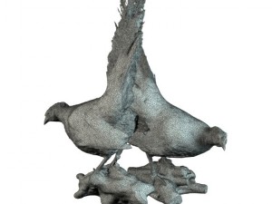 two silver pheasants 3D 모델