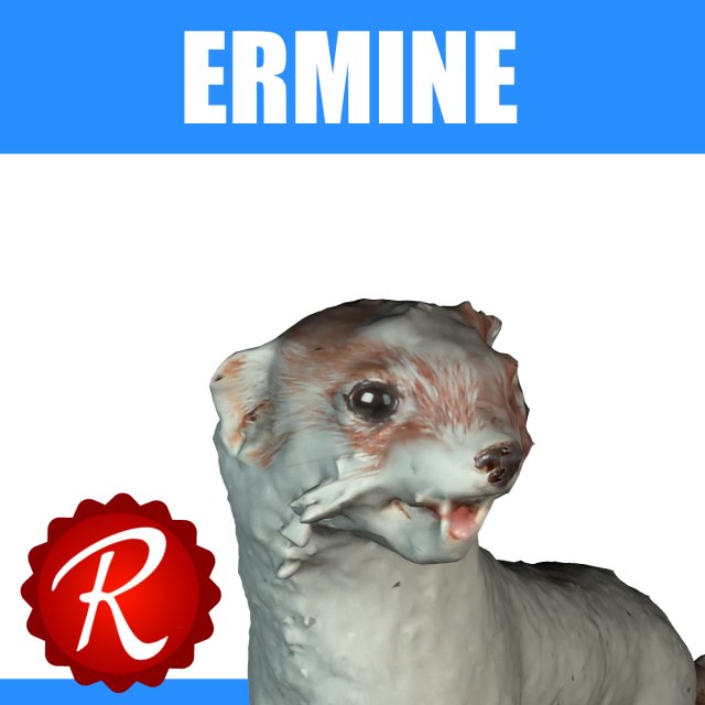 ermine Modelo 3D .c4d .max .obj .3ds .fbx .stl .blend 