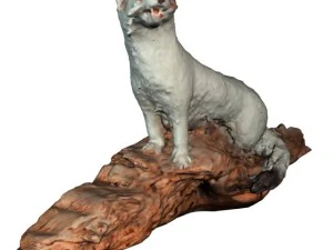 ermine 3D Model