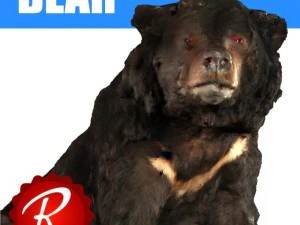 urso Modelo 3D