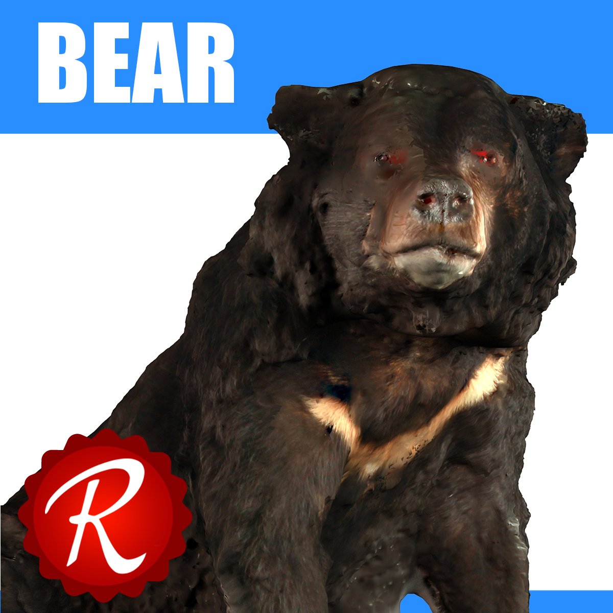 Bear 3d Model In Bear 3dexport