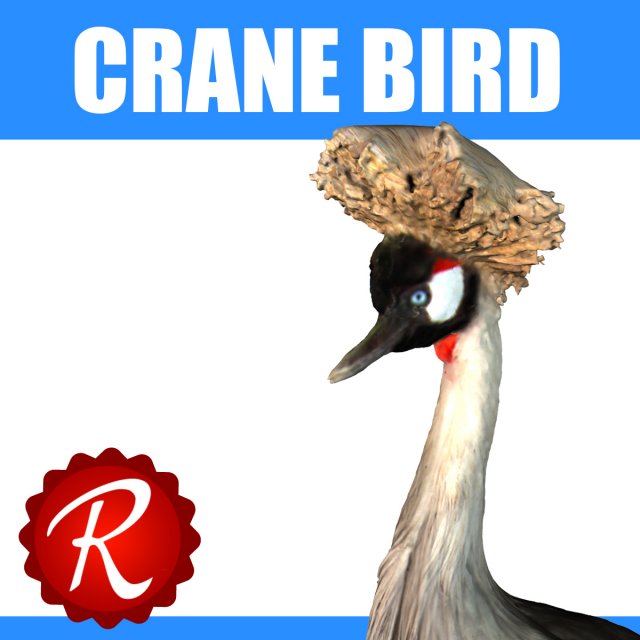 grey cranebird 3D Model .c4d .max .obj .3ds .fbx .stl .blend 