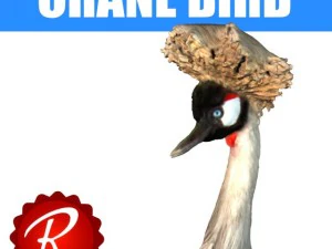 grey cranebird 3D Model