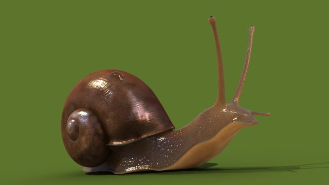 snail 3Dモデル .c4d .max .obj .3ds .fbx .stl .blend 