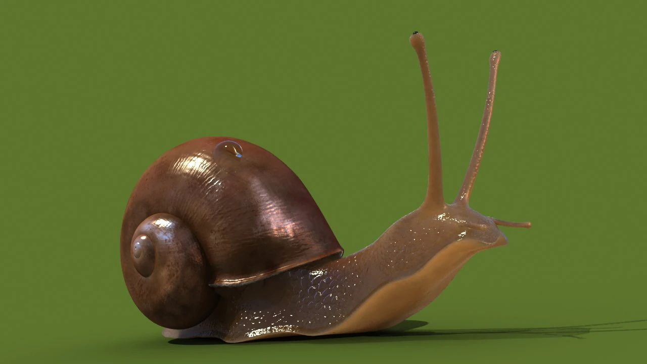 snail 3D Model .c4d .max .obj .3ds .fbx .stl .blend 