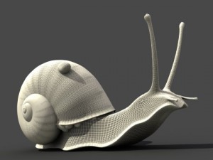 snail 3Dモデル