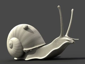 snail 3D Model