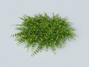 Blutweiderich-Busch 3D Modell