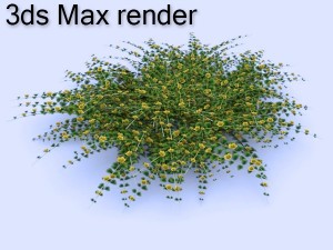 loosestrife bush 3Dモデル