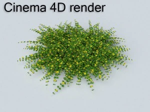 loosestrife bush 3D Model