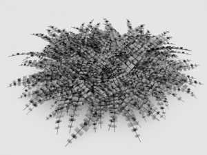 loosestrife bush 3D Model