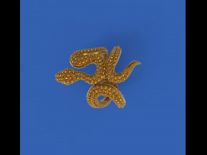 Black snake ring 3D प्रिंट मॉडल