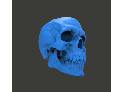 Gear lever knob 3D Print Model