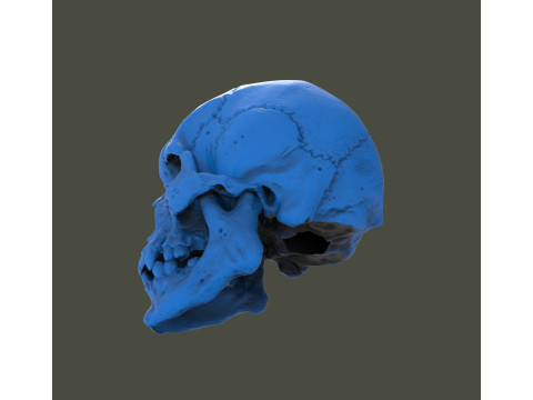 Gear lever knob 3D Print Model