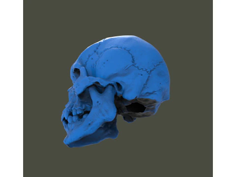 Gear lever knob 3D Print Model