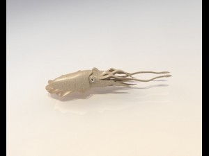 cuttlefish Modelo 3D