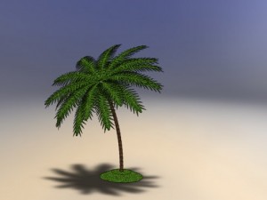 palm tree 3D Модель
