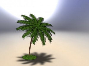 palm tree 3D Модель