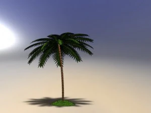 palm tree 3D Model