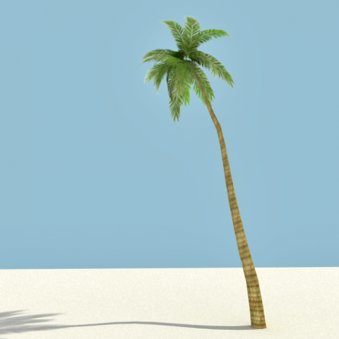 seashore tree 3D Model .c4d .max .obj .3ds .fbx .stl .blend 