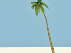 seashore tree 3D-Modell