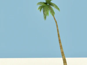 Приморское дерево 3D Модель