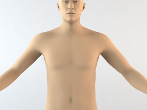 caucasian male human character Modelo 3D