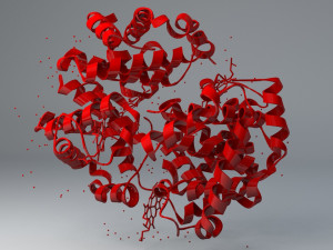 haemoglobin molecule structure 3D Model