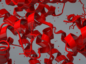 haemoglobin molecule structure Modello 3D
