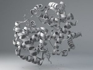 haemoglobin molecule structure Modello 3D