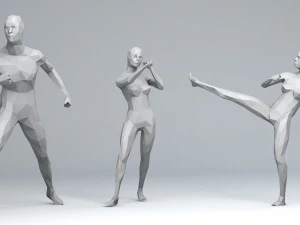31 attivit&agrave; sportive e all'aria aperta persone minimaliste low-poly Modello 3D