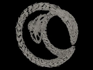 sci-fi shapes - the chaos 3D Model